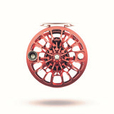 Ross Animas Reel