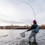 Punt Net