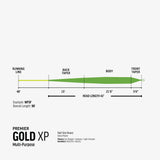 RIO Gold XP
